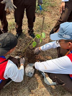 Penanaman Bibit Pohon Bersama Deltamas