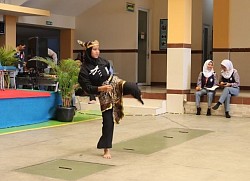 Demo Silat