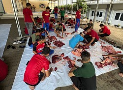 qurban